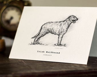 Irish Wolfhound Greeting Card -  Beautifully drawn print - quality card stock. FREE P&P for UK - FREE Personal Message