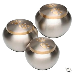 Buddy Pet Cremation Urn For Ashes in Pewter