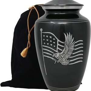 May include: Black metal urn with a silver lid and a silver eagle with an American flag design. The urn comes with a black velvet bag.