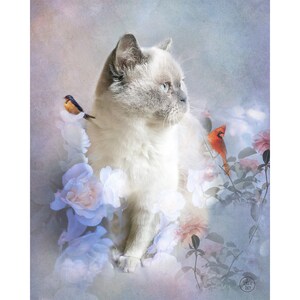 Custom cat portrait - custom pet portrait,  pet memorial, portrait from photo, personalised  unique cat art, cat lover gift, pet loss