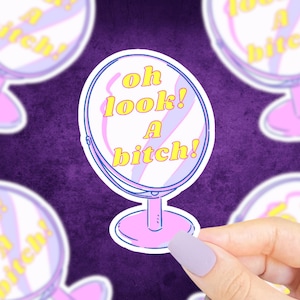 Oh Look A Bitch Sticker, Funny Stickers, Funny Saying Sticker, Mirror Sticker, Funny Quote Sticker, Cute Stickers, Retro Style