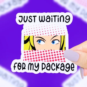 Waiting For My Package Sticker, Funny Sticker, Relatable Stickers, Funny Saying Sticker, Funny Quote Sticker, Pop Art Stickers, Cute Sticker