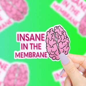 Pegatinas de Insane In The Membrane, pegatinas de salud mental, pegatinas divertidas, pegatinas de ansiedad, pegatinas de nostalgia de los 90, refrán divertido, pegatinas retro