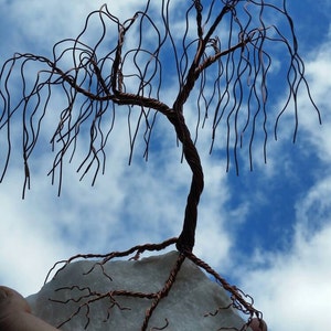 CrystalRockArts Rock Tree Pecora's NH Pegmatite & Wire Wrapping by Totally Wired E. Scott Phillips. image 4