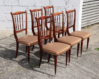 French Vintage Mid-Century Dining Chairs - Set of 6 upholstered Mahogany Dining Chairs- 60s