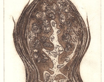 HOT SUMMER SALE - Vintage Original Etching/Print 1/3   A. Dom 1976