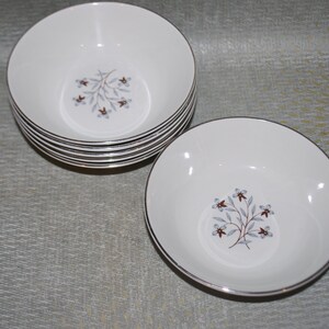 Salem International Soup  Bowls for 6,  Whimsy pattern