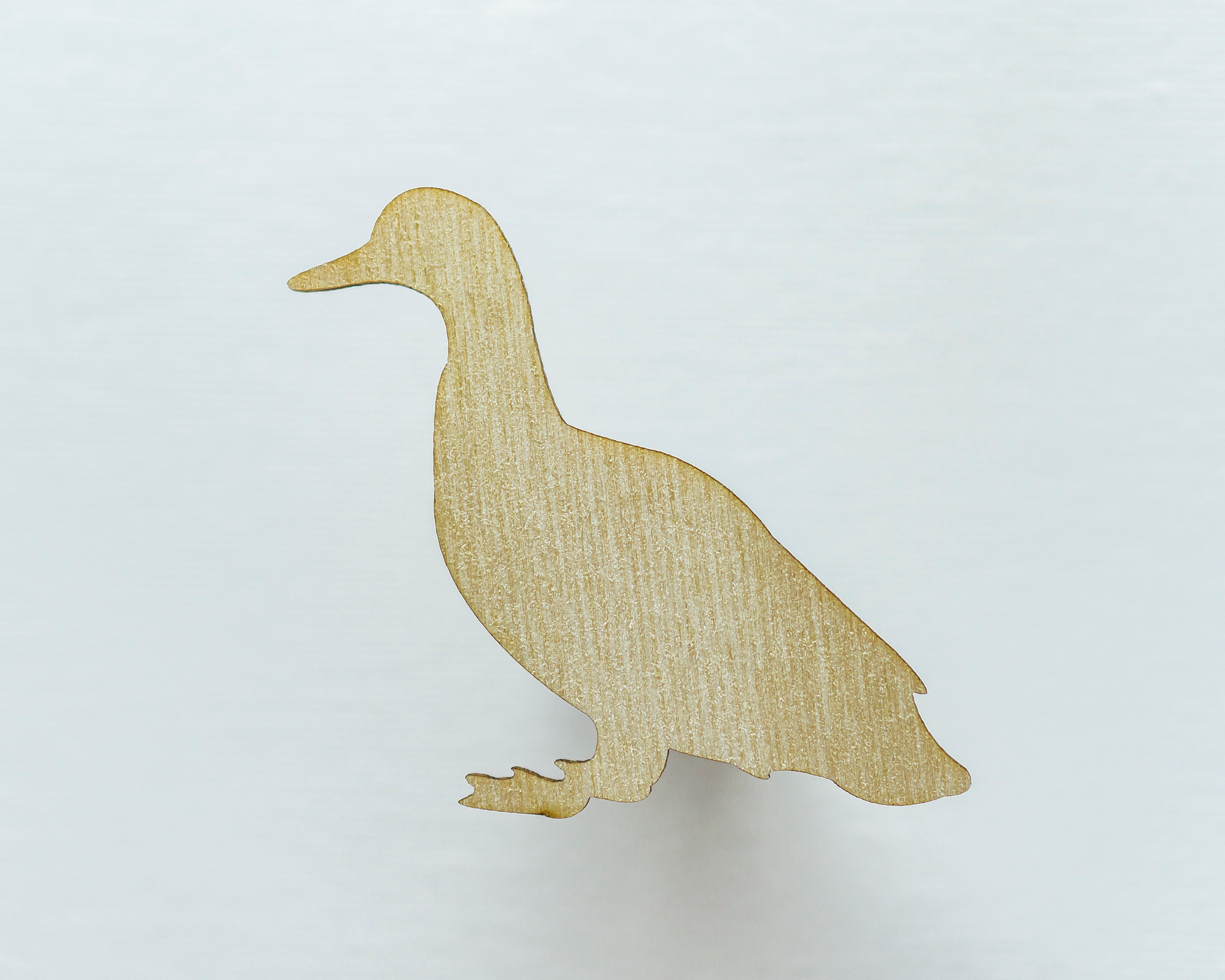 Mini Duck Acrylic Cutouts