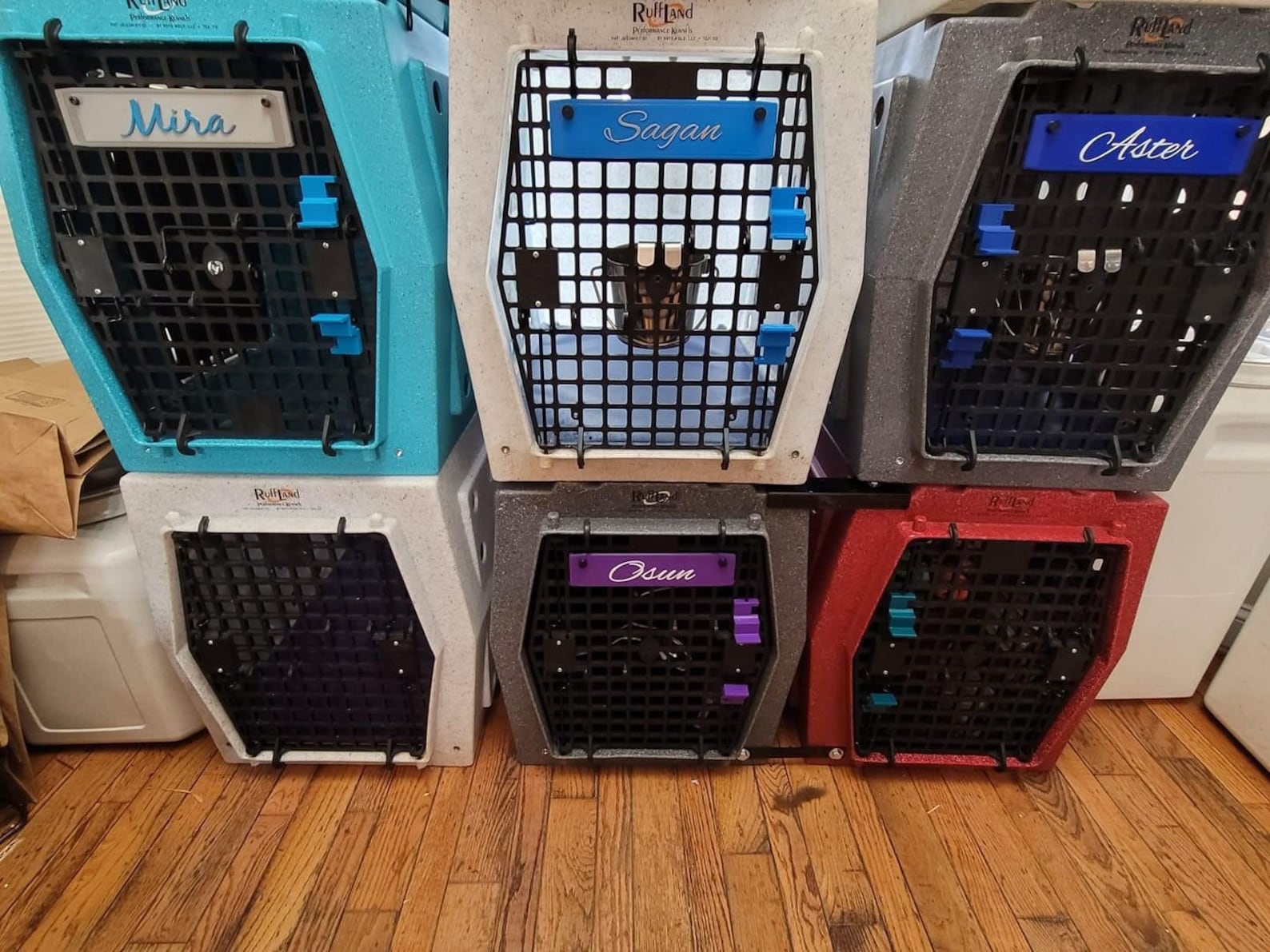 Ruffland Intermediate/large/xl Kennels Name Tags Etsy Canada