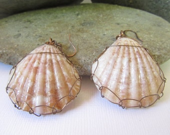 Wire Wrapped Scallop Shell Earrings , Sea Shell Jewelry, Ocean Jewelry, Beach Earrings, Sea Shore Earrings, Summer Jewelry, Nature Jewelry