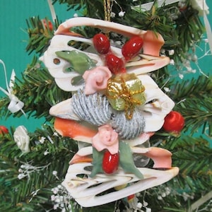 Christmas Ornament Center Cut Strombus w/ Tiny Shells