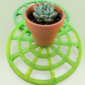 May include: A terracotta plant pot containing a small succulent with pale green and pink-tipped leaves, resting on a circular, bright lime green, grid-patterned coaster with a textured surface and a web-like design.
