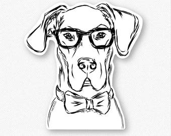 Harvey - Great Dane Decal Sticker, Great Dane Lover, Gifts For Dog Owner, Great Dane Print, Great Dane Art, Dressed Dog, Great Dane Breed