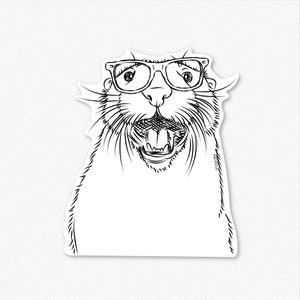 Jasper the River Otter - Decal Sticker
