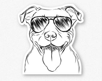 Major the Pitbull - Decal Sticker, Lab Art, Gifts For Dog Owner, Pitbull sticker, Dressed Dog, Pit bull Decal Sticker