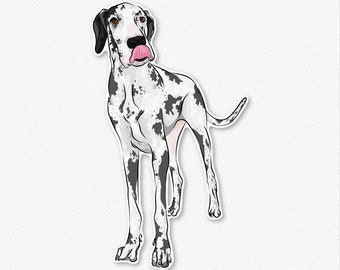 Harlequin - Spotted Great Dane Decal Sticker, Great Dane Lover, Gifts For Dog Owner, Great Dane Sticker, Great Dane Art, Great Dane