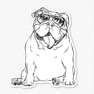 Tank - English Bulldog Decal Sticker, English Bulldog Art, English Bulldog Print, Gifts For Dog Owner, Dressed Dog, Bulldog Decal