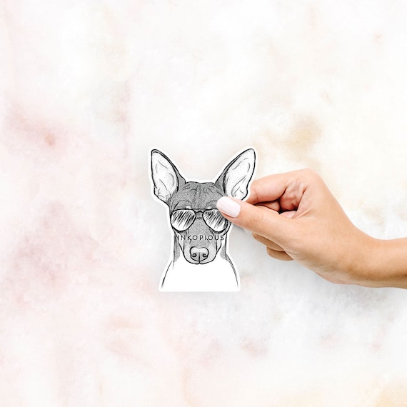 Knox The Rat Terrier Decal Sticker Gifts For Dog Lovers Etsy