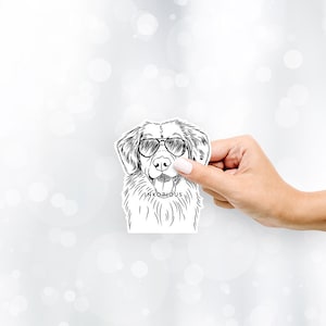 Weston the Nova Scotia Duck Tolling Retriever -  Decal Sticker, Gifts For Dog Lovers