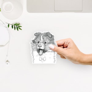 Dylan the Shetland Sheepdog -  Decal Sticker, Gifts For Dog Lovers