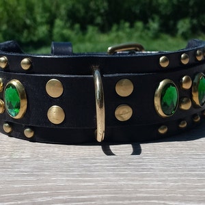 Medium black double leather collar decorated with brass spots and green oval stones.
