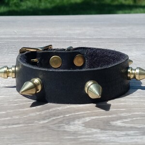 Black Leather Collar Decorated with Brass Spikes for Toy Breed Dogs, Free Shipping