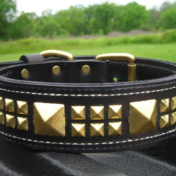 Brass Dog Collar - Etsy