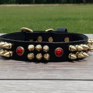 Black Leather Collar Decorated with Brass Spikes & Round Brass Spots with Red Inset Stones , Free Shipping