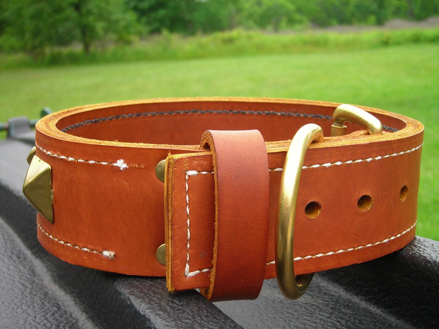 Light Brown Leather Dog Collar with Small and Large Brass Etsy.de