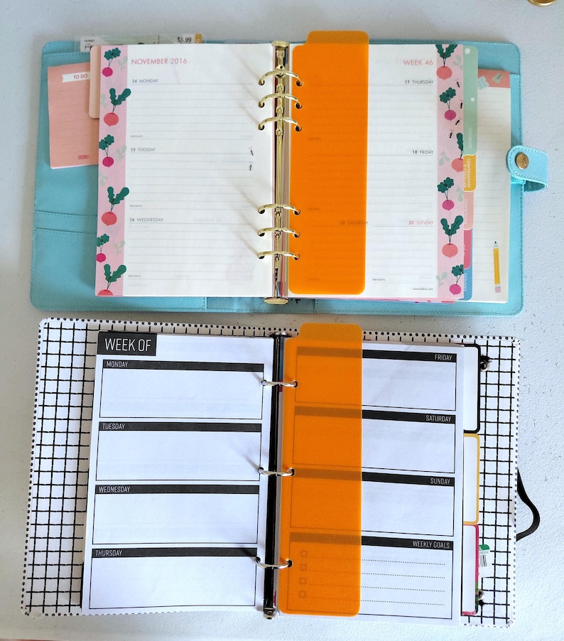 Pu&ograve; includere: Due agende aperte con divisori arancioni. L'agenda superiore &egrave; azzurra con anelli dorati e un bordo a fantasia rosa e verde. L'agenda inferiore ha un motivo a griglia in bianco e nero. Entrambe le agende hanno layout settimanali.