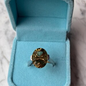 Pu&ograve; includere: Un anello in argento con una grande pietra preziosa dal taglio ovale color marrone dorato e superficie sfaccettata. L'anello &egrave; presentato all'interno di un portagioie azzurro foderato in velluto con coperchio incernierato, ben visibile.