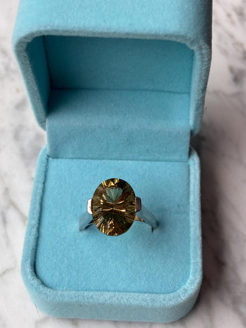 Pu&ograve; includere: Un anello in argento con una grande pietra preziosa dal taglio ovale color marrone dorato e superficie sfaccettata. L'anello &egrave; presentato all'interno di un portagioie azzurro foderato in velluto con coperchio incernierato, ben visibile.