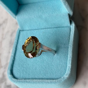 Pu&ograve; includere: Un anello color argento con una grande pietra preziosa giallo oro dal taglio ovale incastonata in una semplice fascia metallica. L'anello &egrave; esposto all'interno di un portagioie azzurro foderato in velluto con coperchio incernierato.