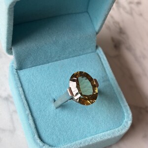 Pu&ograve; includere: Un anello in argento con una grande pietra preziosa giallo oro dal taglio ovale, incastonata in una semplice fascia metallica. L'anello &egrave; esposto all'interno di un portagioie quadrato in velluto azzurro con coperchio incernierato.