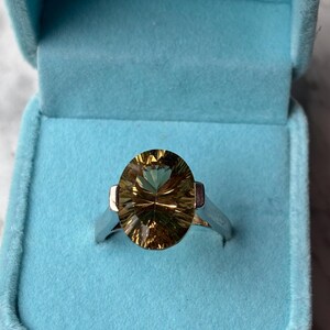 Pu&ograve; includere: Un anello con una grande pietra preziosa sfaccettata a taglio ovale, caratterizzata da tonalit&agrave; dorate, marroni e verdi. La pietra &egrave; incastonata in una fascia di metallo color argento lucido. L'anello &egrave; riposto in un portagioie azzurro in velluto.