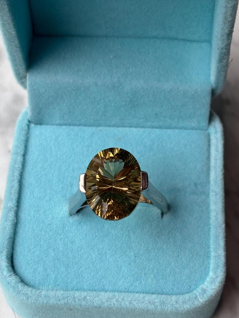 Pu&ograve; includere: Un anello con una grande pietra preziosa sfaccettata a taglio ovale, caratterizzata da tonalit&agrave; dorate, marroni e verdi. La pietra &egrave; incastonata in una fascia di metallo color argento lucido. L'anello &egrave; riposto in un portagioie azzurro in velluto.