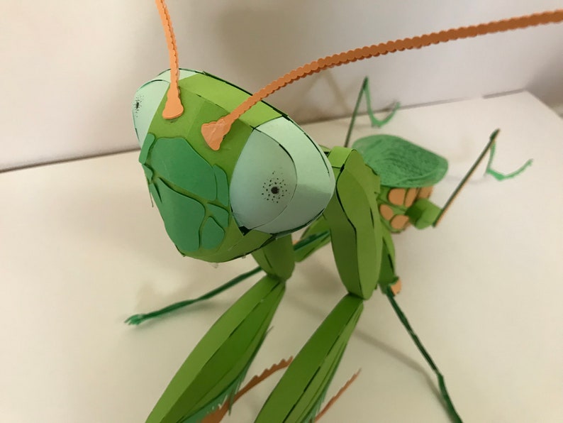 May include: A green paper mache praying mantis with orange antennae and large, light blue eyes. The mantis is posed with its front legs raised in a praying position.