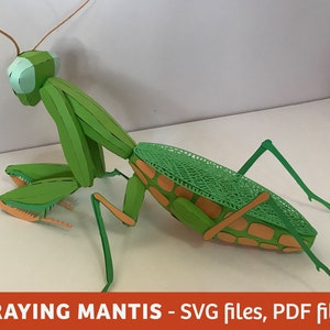 Praying mantis - papercraft activity, SVG files for Cricut, 3D vector digital templates, PDF, 3D low poly, DIY papercraft