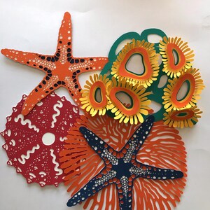 May include: A collection of intricate paper cutouts featuring two starfish, one in orange and one in dark blue, a red circular sea urchin shape, and a cluster of yellow and orange anemone-like forms layered over a dark green circular base.