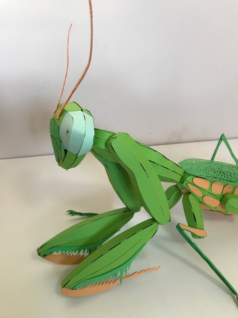 May include: A green papercraft praying mantis with orange antennae and legs. The mantis is posed in a defensive stance with its front legs raised.