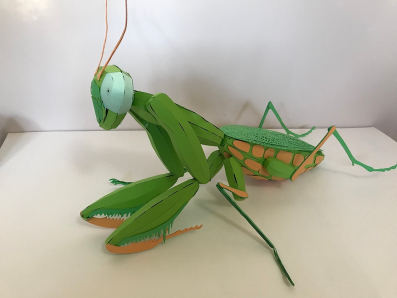 May include: A green paper mache praying mantis with orange antennae and legs. The mantis is posed in a defensive stance with its front legs raised.