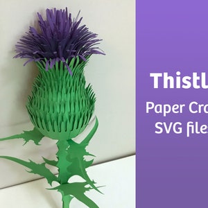 Distelpapier, SVG-bestanden voor Cricut, 3D-papierobject, vectorsjabloon, papieren bloem