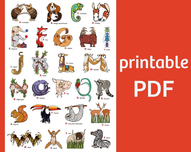 Animal Alphabets Poster Printable PDF ABC Nursery Decor - Etsy