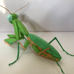 May include: A green papercraft praying mantis with brown antennae and orange and green details. The mantis is posed with its legs outstretched and its head turned to the side.