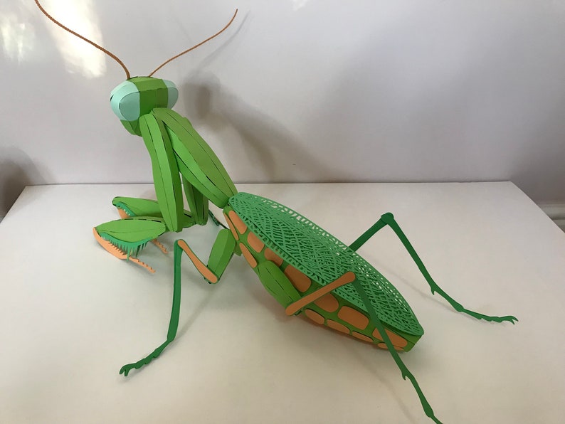 May include: A green papercraft praying mantis with brown antennae and orange and green details. The mantis is posed with its legs outstretched and its head turned to the side.
