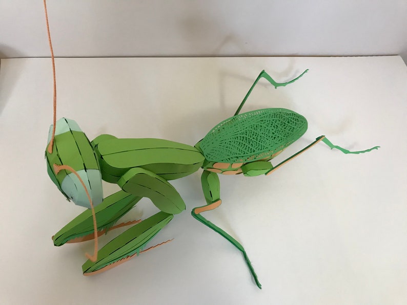 May include: A green papercraft praying mantis with intricate details. The mantis is posed with its legs extended and its head tilted down. The wings are made of a delicate, lacy material.