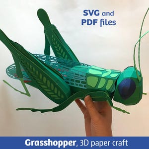 Sauterelle en papier 3D, fichiers SVG pour Cricut, fichiers PDF à imprimer chez soi
