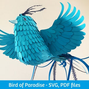Paradiesvogel, SVG-Dateien für Cricut, PDF-Dateien, Vektor digitale Vorlagen, 3D Low Poly, DIY Papiermodell
