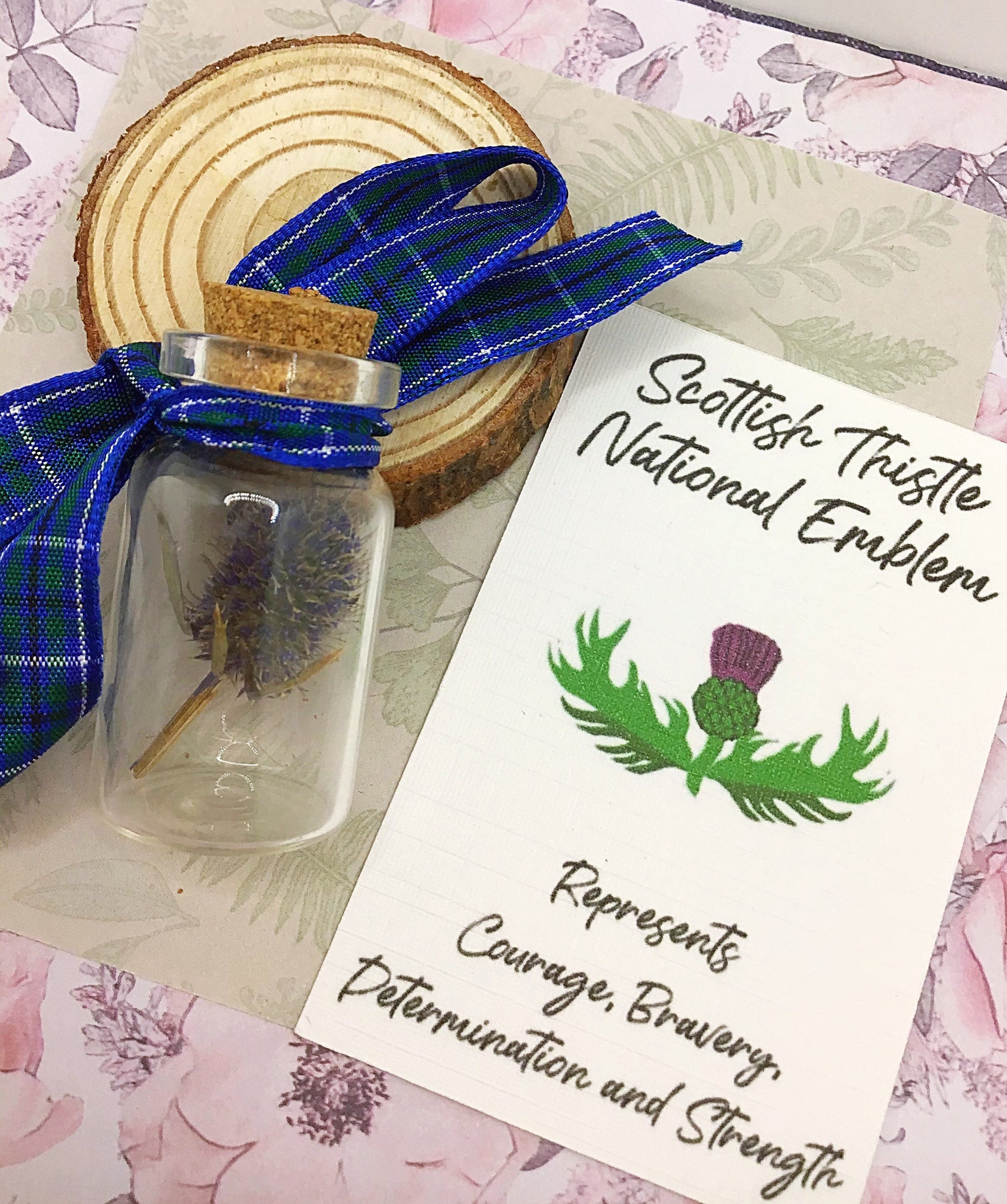 Scottish Thistle Gift Dried Scottish Thistle Scottish Etsy