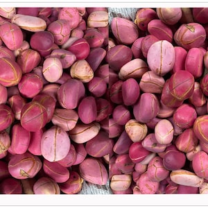 May include: A close-up image of a pile of pink and brown ackee fruit. The ackee fruit is a tropical fruit that is native to Jamaica.